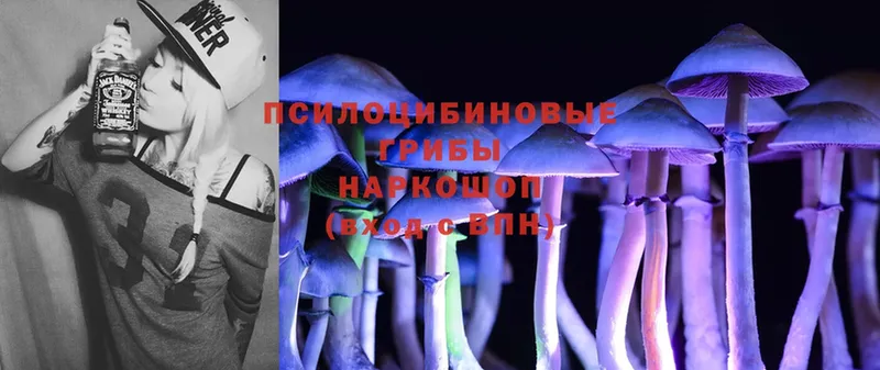 mega как зайти  Краснозаводск  Галлюциногенные грибы MAGIC MUSHROOMS 